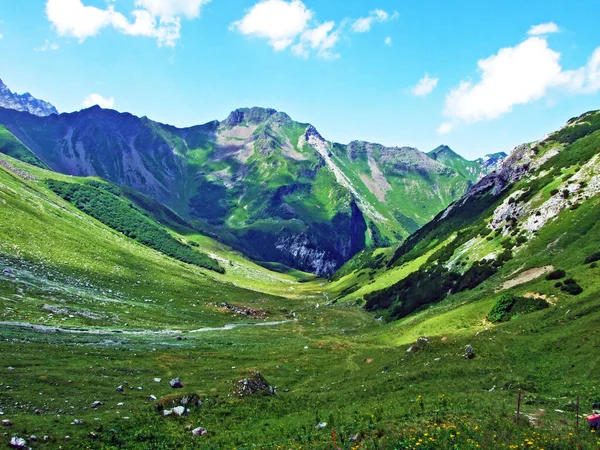 Naafkopf Zirvesi Nin Aşağısındaki Çimenli Alp Vadisi Nde Liechtenstein Dağı — Stok fotoğraf