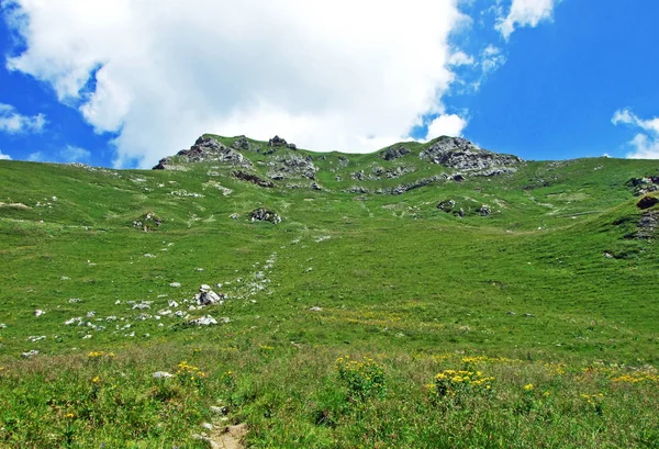 Grasbewachsenes Alpental Hottatal Oder Höttatal Unterhalb Des Augstenberggipfels Und Liechtensteinischen — Stockfoto