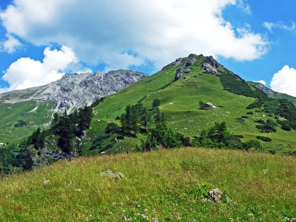 Grassy Alpine Valley Hottatal Hoettatal Κάτω Από Την Κορυφή Του — Φωτογραφία Αρχείου