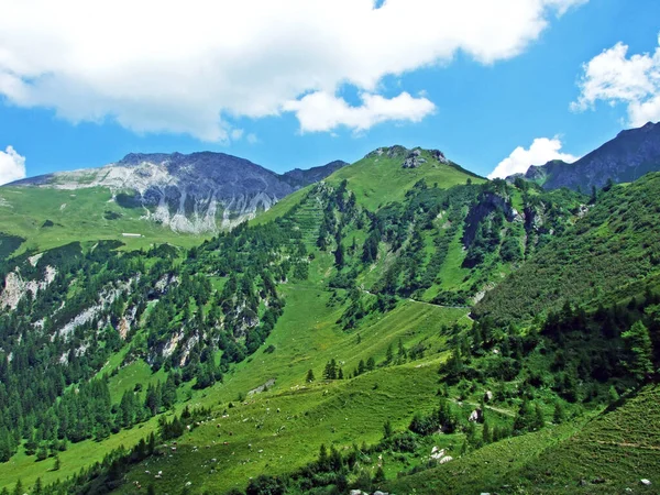 Sommet Alpin Augstenberg Dessus Vallée Alpine Saminatal Dans Massif Montagneux — Photo