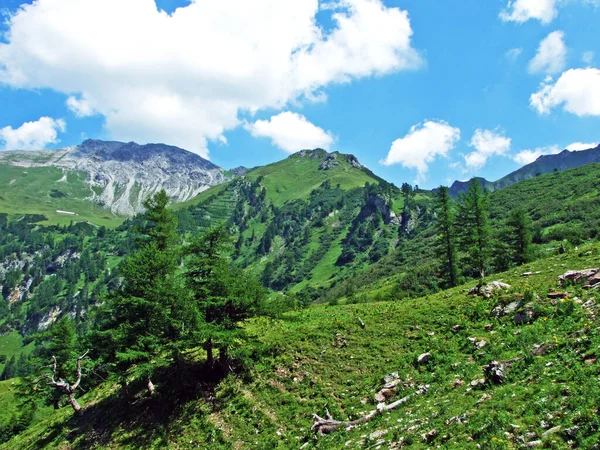 Pico Montañoso Alpino Augstenberg Sobre Valle Alpino Saminatal Los Alpes —  Fotos de Stock