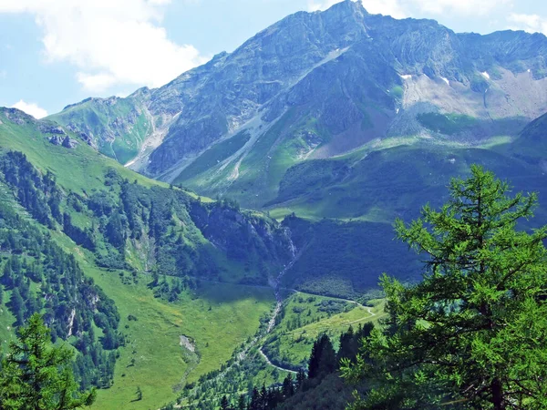 Cima Alpina Augstenberg Sulla Valle Alpina Saminatal Sulle Alpi Liechtenstein — Foto Stock