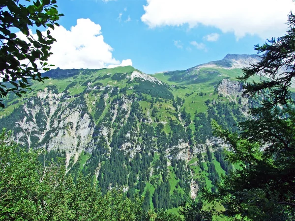 Alpský Vrchol Augstenberg Nad Alpským Údolím Saminatal Lichtenštejnských Alpách Masiv — Stock fotografie