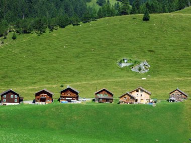 Saminatal Vadisi 'nde ve Ganglesee ya da Gaenglesee' deki yapay göl boyunca Steg, Lihtenştayn 'da eski bir turist-hayvan yerleşkesi.