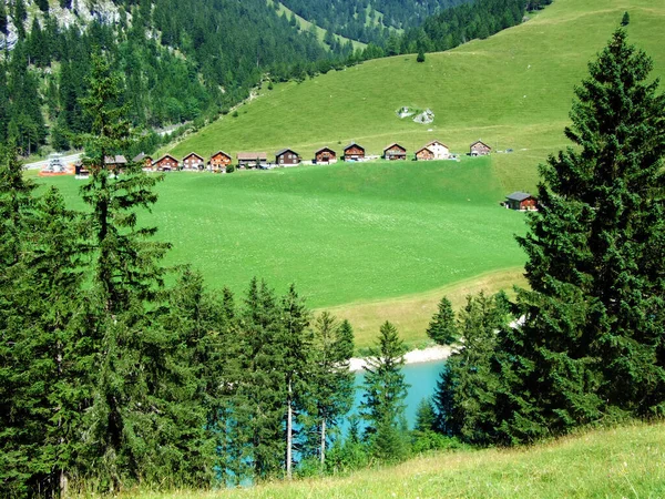 Een Oude Toeristisch Dierlijke Alpine Nederzetting Saminatal Vallei Langs Een — Stockfoto