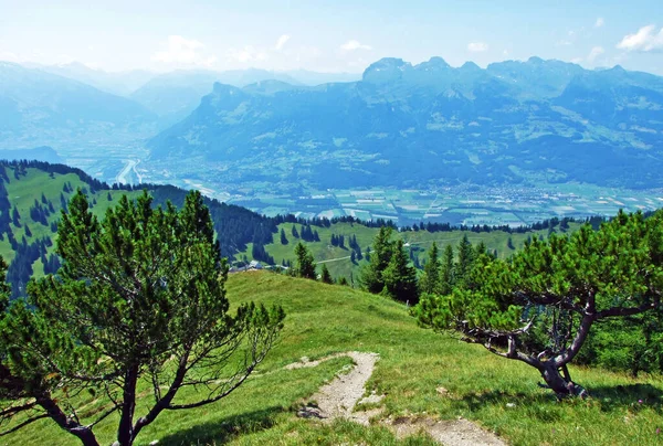 Pohled Údolí Řeky Rýna Rheintal Svahů Lichtenštejnských Alp Triesenberg Lichtenštejnsko — Stock fotografie