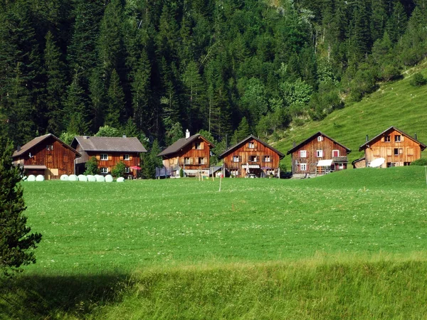 Das Kleine Traditionelle Alpendorf Steg Saminatal Und Herzen Der Liechtensteinischen — Stockfoto
