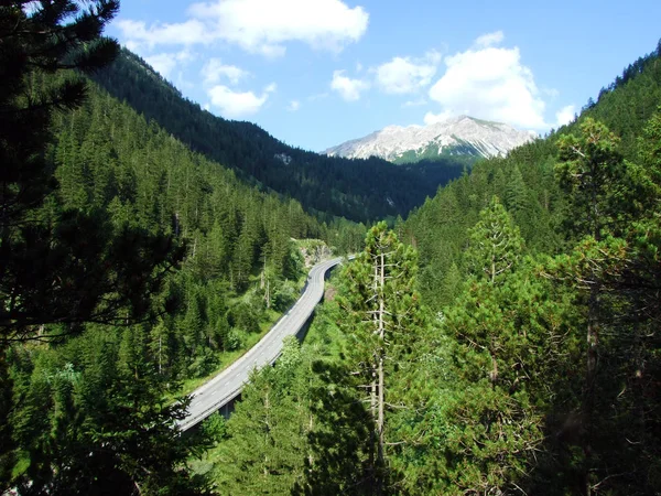 Carretera Regional Entre Los Asentamientos Alpinos Steg Malbun Largo Del — Foto de Stock