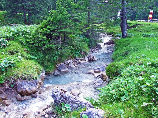 Liechtenstein Alpleri Ndeki Steg Malbun Alp Köyleri Arasındaki Malunbach Nehri — Stok fotoğraf