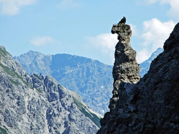 Skały Kamienie Masywu Górskiego Alp Lichtensteinskich Oraz Nad Doliną Saminatal — Zdjęcie stockowe
