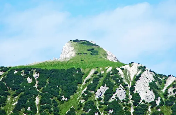 Stânci Pietre Ale Masivului Muntos Din Alpii Liechtenstein Peste Valea — Fotografie, imagine de stoc
