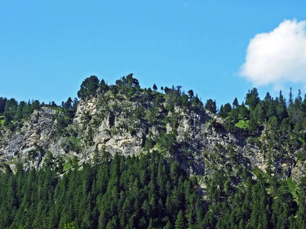 Rochers Pierres Massif Montagneux Des Alpes Liechtenstein Dessus Vallée Alpine — Photo