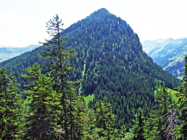 Alpengipfel Kirchlespitz Über Dem Saminatal Und Liechtensteinischen Alpenmassiv Steg Liechtenstein — Stockfoto