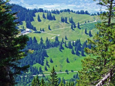 Lihtenştayn Alp Dağları 'nda yürüyüş ve yürüyüş yolları ve Saminatal Alp Vadisi' nin üzerinde Steg, Lihtenştayn