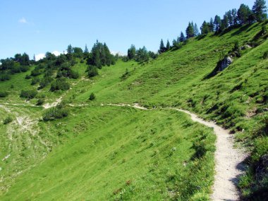 Lihtenştayn Alp Dağları 'nda yürüyüş ve yürüyüş yolları ve Saminatal Alp Vadisi' nin üzerinde Steg, Lihtenştayn