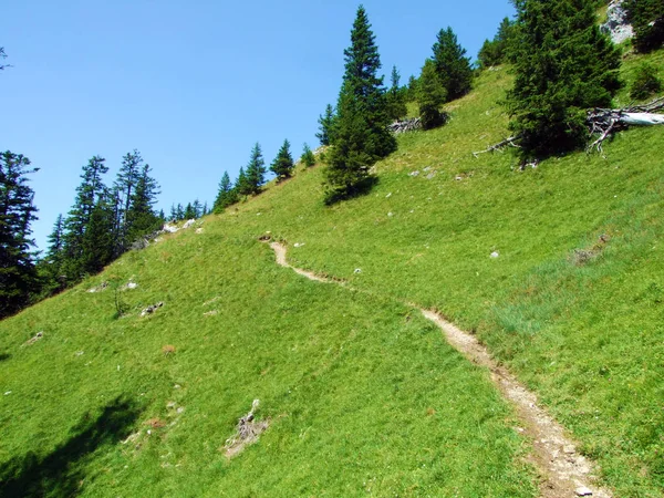 Прогулянки Походи Ліхтенштейнських Альпах Також Самінатальській Альпійській Долині Стег Ліхтенштейн — стокове фото