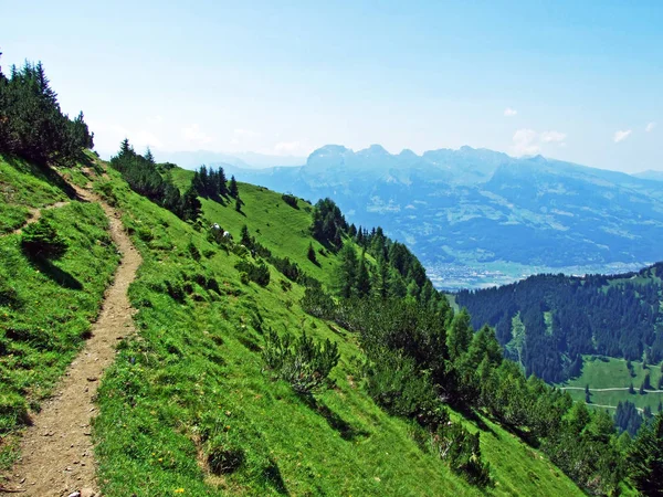 Séta Túraútvonalak Liechtensteini Alpokban Saminatal Alpesi Völgyben Steg Liechtenstein — Stock Fotó