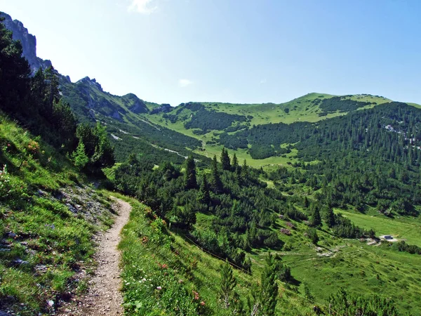在列支敦士登阿尔卑斯山山脉和萨莫尔高山谷地 列支敦士登斯蒂格 上行走和远足的小径 — 图库照片