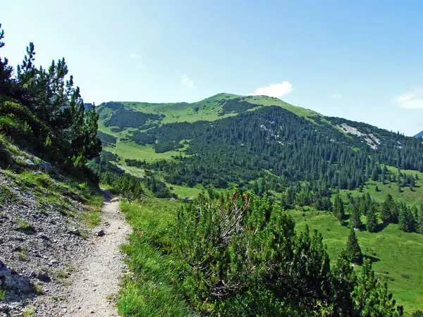 リヒテンシュタインアルプス山脈のウォーキングやハイキングコース そしてサミナタルアルプス渓谷 シュテグ リヒテンシュタイン — ストック写真