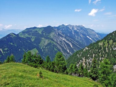 Evergreen Ormanı veya Lihtenştayn Alp Dağları yamaçlarında ve Saminatal Alp Vadisi 'nde - Steg, Lihtenştayn