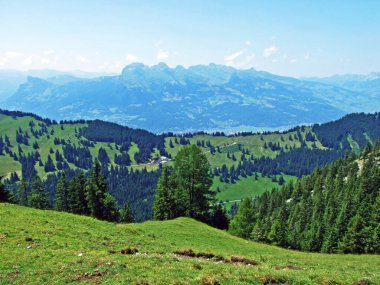 Evergreen Ormanı veya Lihtenştayn Alp Dağları yamaçlarında ve Saminatal Alp Vadisi 'nde - Steg, Lihtenştayn