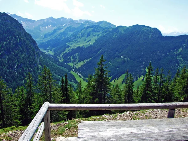 Pohled Saminatální Alpské Údolí Vrcholky Lichtenštejnských Alp Steg Lichtenštejnsko — Stock fotografie