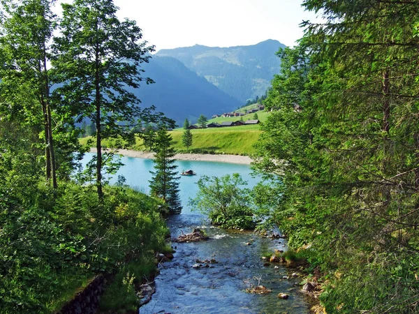 Valunerbach Veya Valuenerbach Deresinde Saminatal Alp Vadisi Steg Liechtenstein — Stok fotoğraf