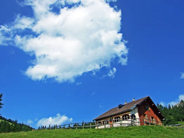 Exploitations Bovines Architecture Traditionnelle Dans Vallée Alpine Saminatal Dans Les — Photo