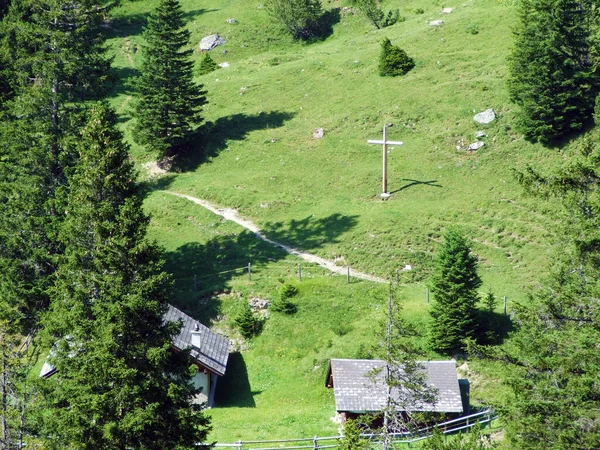 Rundveehouderijen Traditionele Architectuur Het Saminatale Alpendal Bergketen Van Liechtenstein Alpen — Stockfoto