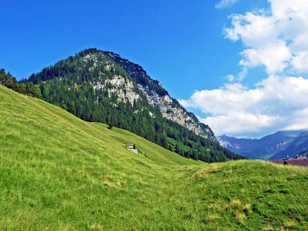 Alpine Pastures Meadows Saminatal Alpine Valley Liechtenstein Alps Mountain Massiv — Stock Photo, Image