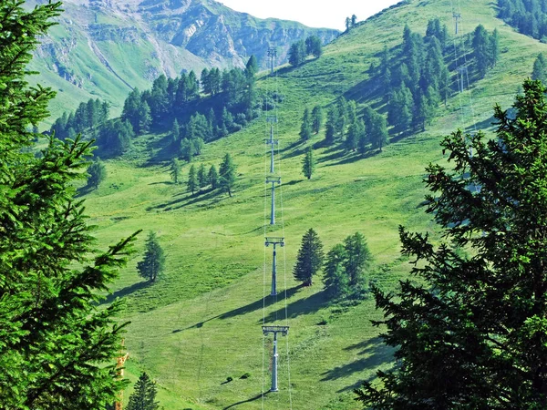 Pastos Alpinos Prados Valle Alpino Saminatal Los Alpes Liechtenstein Macizo — Foto de Stock