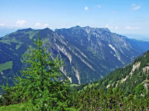 Cordilheira Picos Íngremes Acima Vale Alpino Saminatal Maciço Liechtenstein Steg — Fotografia de Stock