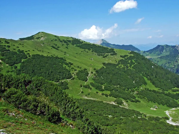 Gräsbevuxen Alpin Bergstopp Schonberg Eller Schönberg Över Saminataldalen Och Liechtensteins — Stockfoto