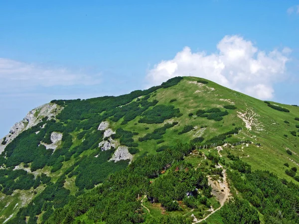 Pico Montaña Alpino Herboso Schonberg Schoenberg Sobre Valle Alpino Saminatal — Foto de Stock