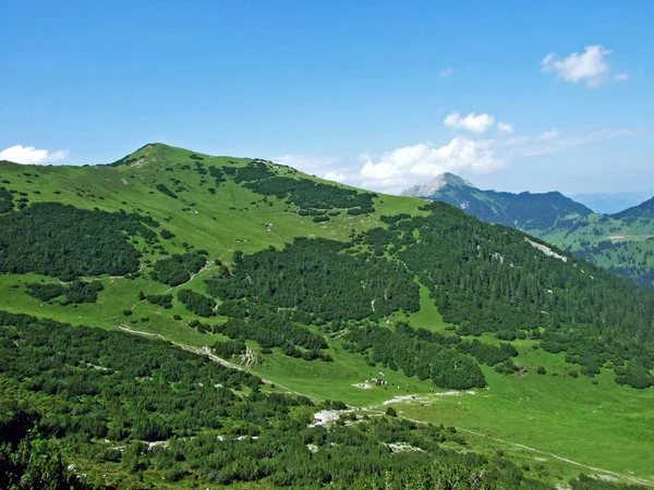 Gräsbevuxen Alpin Bergstopp Schonberg Eller Schönberg Över Saminataldalen Och Liechtensteins — Stockfoto