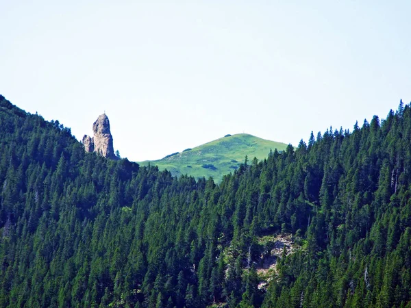 Alpino Gramado Pico Montanha Schonberg Schoenberg Sobre Vale Alpino Saminatal — Fotografia de Stock