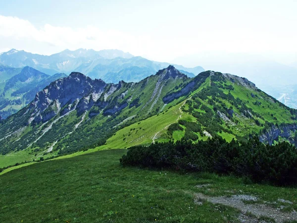 Picos Montanha Alpinos Drei Kapuziner Stachlerkopf Sobre Vale Alpino Saminatal — Fotografia de Stock
