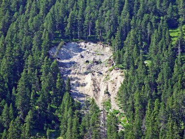 Liechtenstein Alpleri 'nin dik dağlık dağlık ormanlarındaki toprak erozyonu Steg, Lihtenştayn