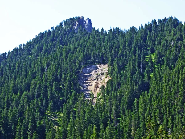 Glissement Terrain Érosion Des Sols Dans Forêt Alpine Escarpée Des — Photo