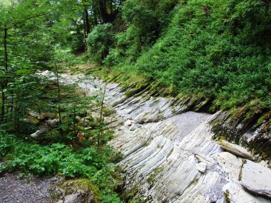 Obertoggenburg bölgesinde yaz kuraklığı sırasında susuz kalan nehir kanyonu (die Schlucht des Flusses Thur), Unterwasser - St. Gallen, İsviçre Kantonu