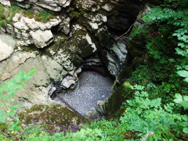 Thur Şelaleleri 'nin ya da Thurfaelle' in ya da Thur Nehri 'nin üzerindeki Thurfalle' ın kurak yaz kayalıkları Obertoggenburg bölgesi Unterwasser, İsviçre 'nin St. Gallen Kantonu.