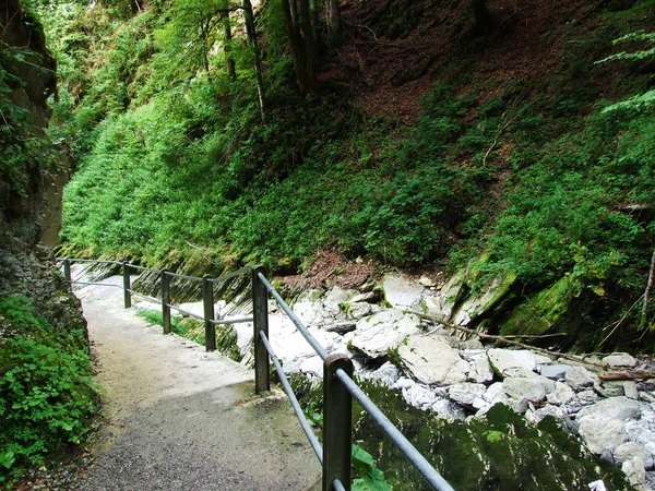 Thur River Canyon Water Summer Drought Die Schlucht Des Flusses — Stock Photo, Image