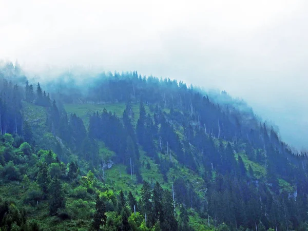 Bosques Mixtos Árboles Diluidos Las Laderas Cordillera Churfirsten Región Obertoggenburg — Foto de Stock