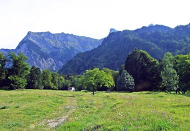 Bundner Herrschaft ya da Buendner Herrschaft bölgesinin muhteşem manzaraları ve ünlü Heidi dünyası, Mainfeld - Grisonlar Kantonu (Graubunden ya da Graubuenden), İsviçre