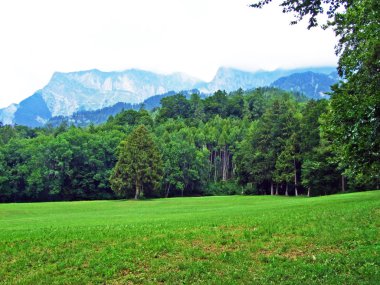 Bundner Herrschaft ya da Buendner Herrschaft bölgesinin muhteşem manzaraları ve ünlü Heidi dünyası, Mainfeld - Grisonlar Kantonu (Graubunden ya da Graubuenden), İsviçre