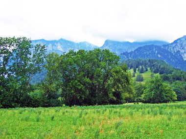 Bundner Herrschaft ya da Buendner Herrschaft bölgesinin muhteşem manzaraları ve ünlü Heidi dünyası, Mainfeld - Grisonlar Kantonu (Graubunden ya da Graubuenden), İsviçre