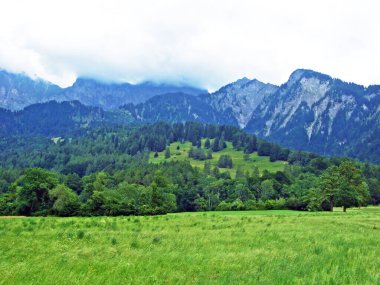 Bundner Herrschaft ya da Buendner Herrschaft bölgesinin muhteşem manzaraları ve ünlü Heidi dünyası, Mainfeld - Grisonlar Kantonu (Graubunden ya da Graubuenden), İsviçre