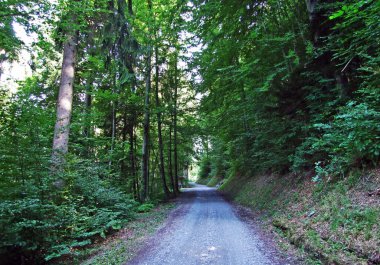 Buendner Herrschaft bölgesinde ve Ren Vadisi, Mainfeld - Grisonlar Kantonu (Graubunden veya Graubuenden), İsviçre