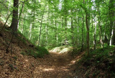 Buendner Herrschaft bölgesinde ve Ren Vadisi, Mainfeld - Grisonlar Kantonu (Graubunden veya Graubuenden), İsviçre