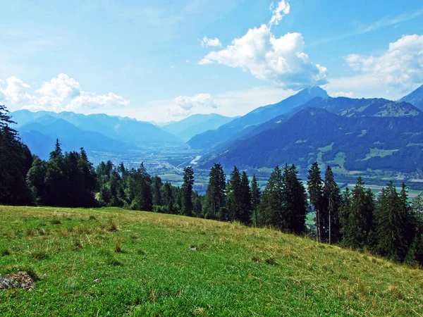 Utsikt Över Floden Rhendalen Regionen Bundner Herrschaft Buendner Herrschaft Mainfeld — Stockfoto